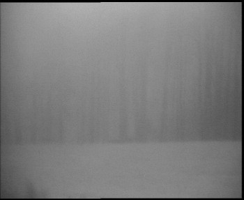 Snímek 7.11.2025 v 06:15