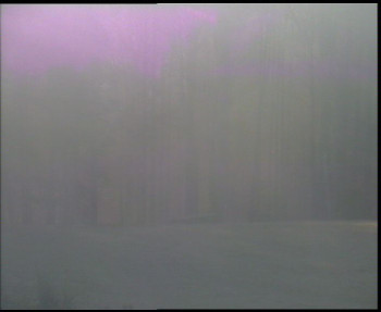 Snímek 7.11.2025 v 07:15