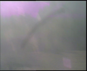 Snímek 7.11.2025 v 08:00