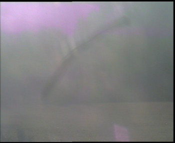 Snímek 7.11.2025 v 08:15