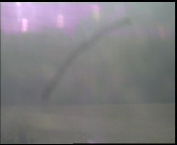 Snímek 7.11.2025 v 08:45