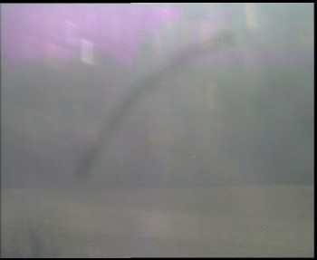 Snímek 7.11.2025 v 09:00