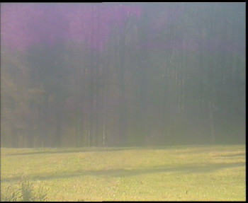 Snímek 7.11.2025 v 12:45