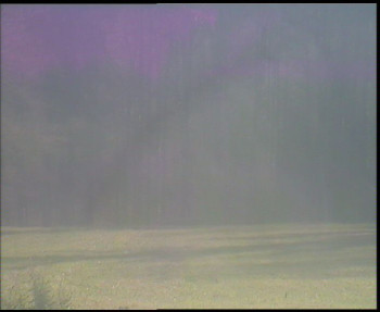 Snímek 7.11.2025 v 13:00