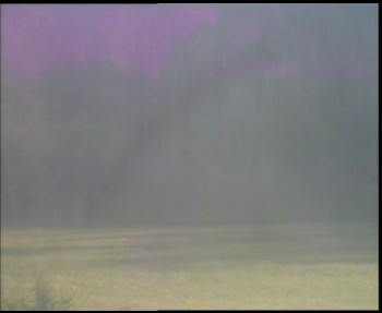 Snímek 7.11.2025 v 13:15