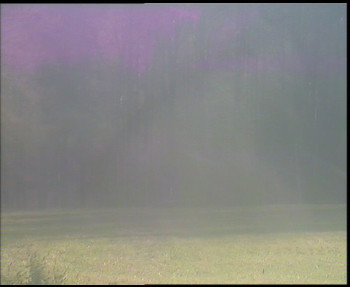 Snímek 7.11.2025 v 13:30