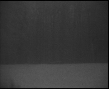 Snímek 7.11.2025 v 16:45