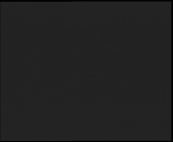 Snímek 7.11.2025 v 17:00