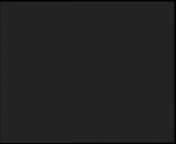 Snímek 7.11.2025 v 17:15