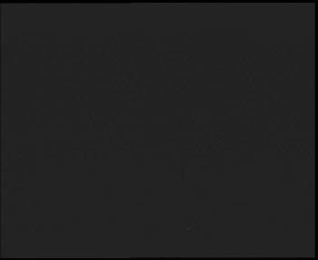 Snímek 8.11.2025 v 02:15