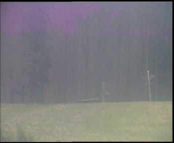 Snímek 8.11.2025 v 09:15