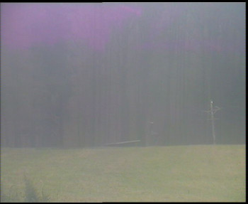 Snímek 8.11.2025 v 12:00