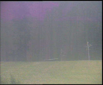 Snímek 8.11.2025 v 13:45