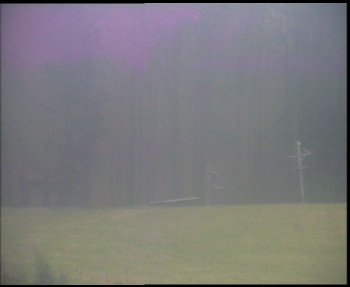 Snímek 8.11.2025 v 14:30