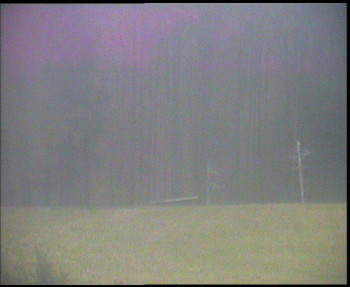 Snímek 8.11.2025 v 15:45