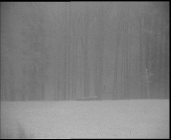 Snímek 8.11.2025 v 16:15