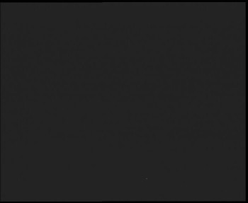 Snímek 9.11.2025 v 02:45