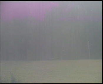 Snímek 9.11.2025 v 07:45