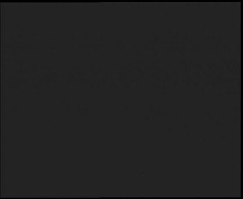 Snímek 14.11.2025 v 04:00