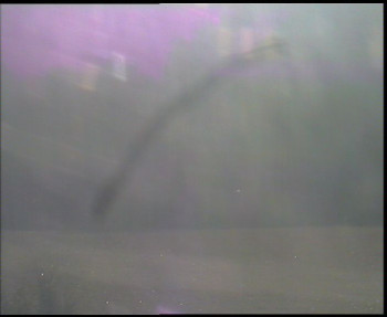 Snímek 14.11.2025 v 09:00