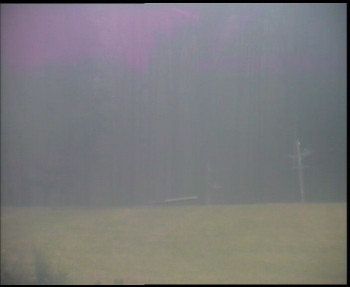 Snímek 14.11.2025 v 15:45