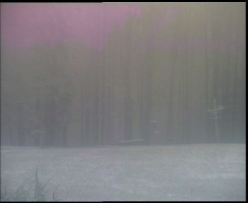 Snímek 18.11.2025 v 07:30