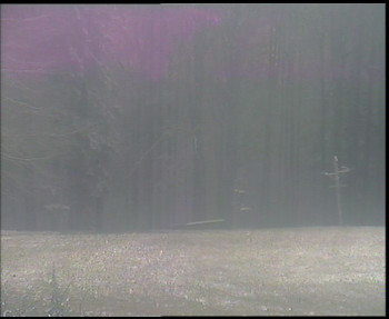 Snímek 18.11.2025 v 15:00