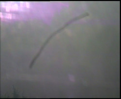 Nastupní stanice vleku