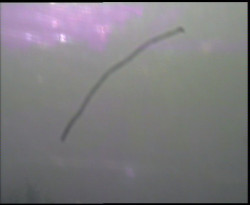 Nastupní stanice vleku