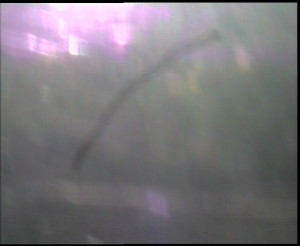 SkiAreál - Horský hotel Vsacký Cáb - Nastupní stanice vleku - 13.12.2025 v 08:45 SkiAreál - Horský hotel Vsacký Cáb - Nastupní stanice vleku - 13.12.2025 v 08:45