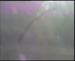 Nastupní stanice vleku