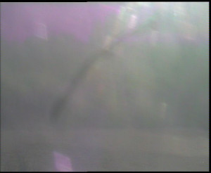 SkiAreál - Horský hotel Vsacký Cáb - Nastupní stanice vleku - 13.12.2025 v 09:30 SkiAreál - Horský hotel Vsacký Cáb - Nastupní stanice vleku - 13.12.2025 v 09:30