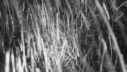 Nastupní stanice vleku