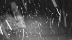 Nastupní stanice vleku