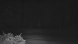 Nastupní stanice vleku