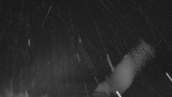 Nastupní stanice vleku