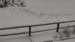 Nastupní stanice vleku