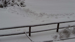 Nastupní stanice vleku