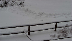 Nastupní stanice vleku