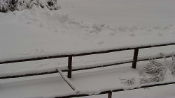 Nastupní stanice vleku