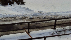 Nastupní stanice vleku