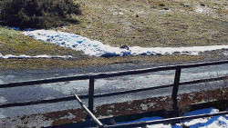 Nastupní stanice vleku