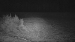 Nastupní stanice vleku