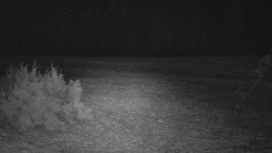 Nastupní stanice vleku