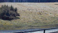 Nastupní stanice vleku