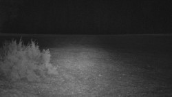 Nastupní stanice vleku