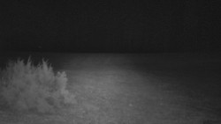 Nastupní stanice vleku