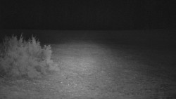 Nastupní stanice vleku