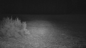 SkiAreál - Horský hotel Vsacký Cáb - Nastupní stanice vleku - 13.3.2026 v 05:00 SkiAreál - Horský hotel Vsacký Cáb - Nastupní stanice vleku - 13.3.2026 v 05:00