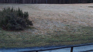 SkiAreál - Horský hotel Vsacký Cáb - Nastupní stanice vleku - 13.3.2026 v 05:45 SkiAreál - Horský hotel Vsacký Cáb - Nastupní stanice vleku - 13.3.2026 v 05:45